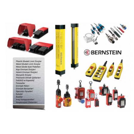 BERNSTEIN 6301106065 - T-06 N/S MAGNETE